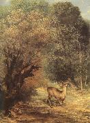 Gustave Courbet Deer china oil painting artist